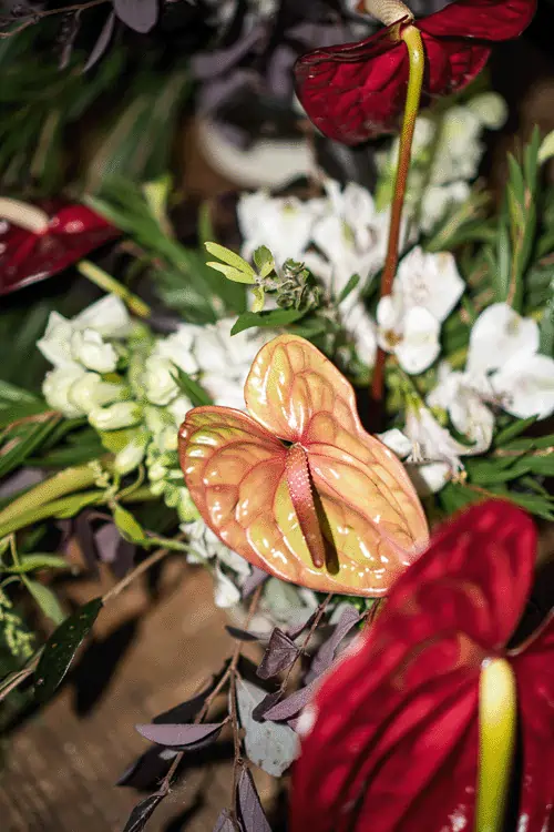 Close-up of tropical floral arrangement with anthuriums and greenery at Yema Kitchen, adding natural elegance to group dinners and private events in Canggu.